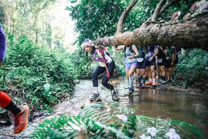 BIB: 
                            <button type="button" onclick="openModal(25468230)" class="btn btn-primary btn-sm float-right btn-popup" data-toggle="modal" data-target=".modal-high-quality">
                        <i class="fas fa-shopping-cart"></i> Add to Cart
                    </button>
                                            <button type="button" onclick="isThisMe(25468230, true)" class="btn btn-success btn-sm float-right btn-popup btn-isme hidden" data-toggle="tooltip" data-placement="bottom" title="นี่คือรูปของคุณใช่ไหม คลิกที่นี่เพื่อเอาเข้าอัลบั้ม">
                        <i class="fas fa-plus"></i> Add to album
                    </button>
                    <button type="button" onclick="isThisMe(25468230, false)" class="btn btn-warning btn-sm float-right btn-popup btn-isnotme hidden">
                        <i class="fas fa-ban"></i> Remove from album
                    </button>